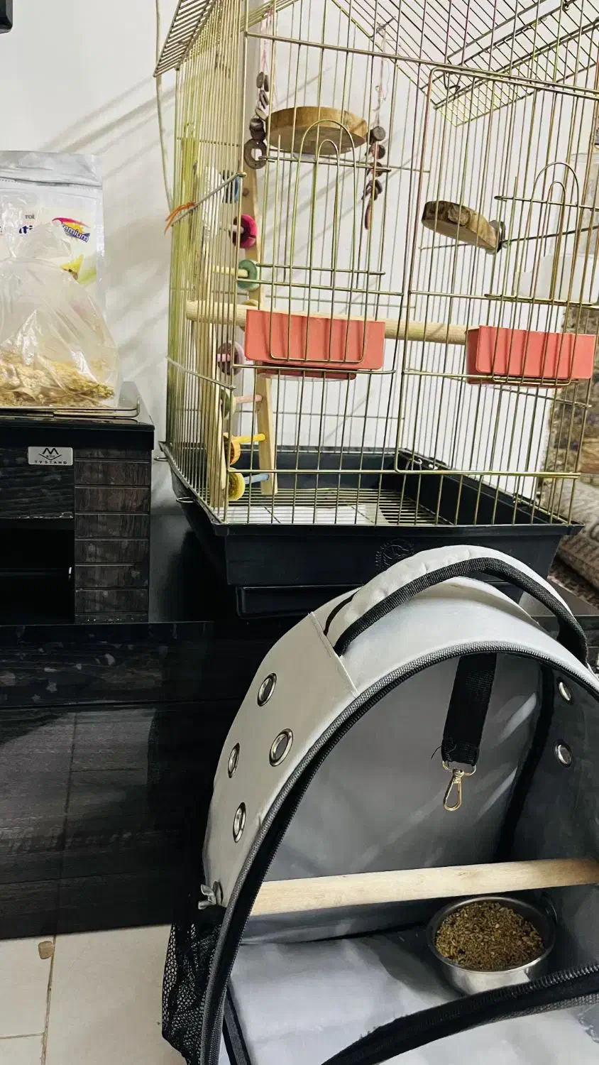 قفس پرنده|لوازم جانبی حیوانات|هشتگرد, فاز ۱ مهستان|دیوار