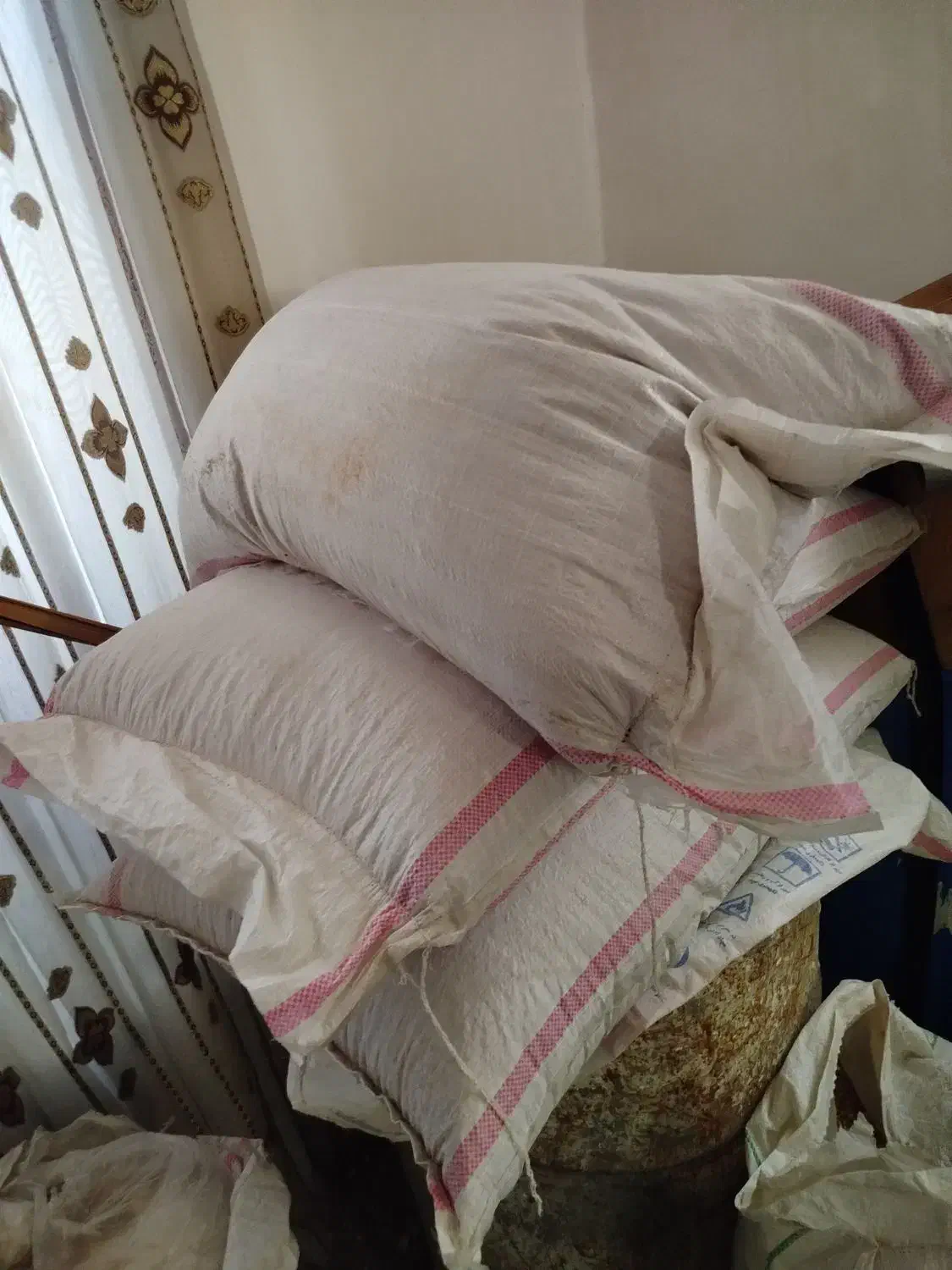 گندم آنا برنا بذر.... روانسر بذری|گل و گیاه طبیعی|روانسر, |دیوار