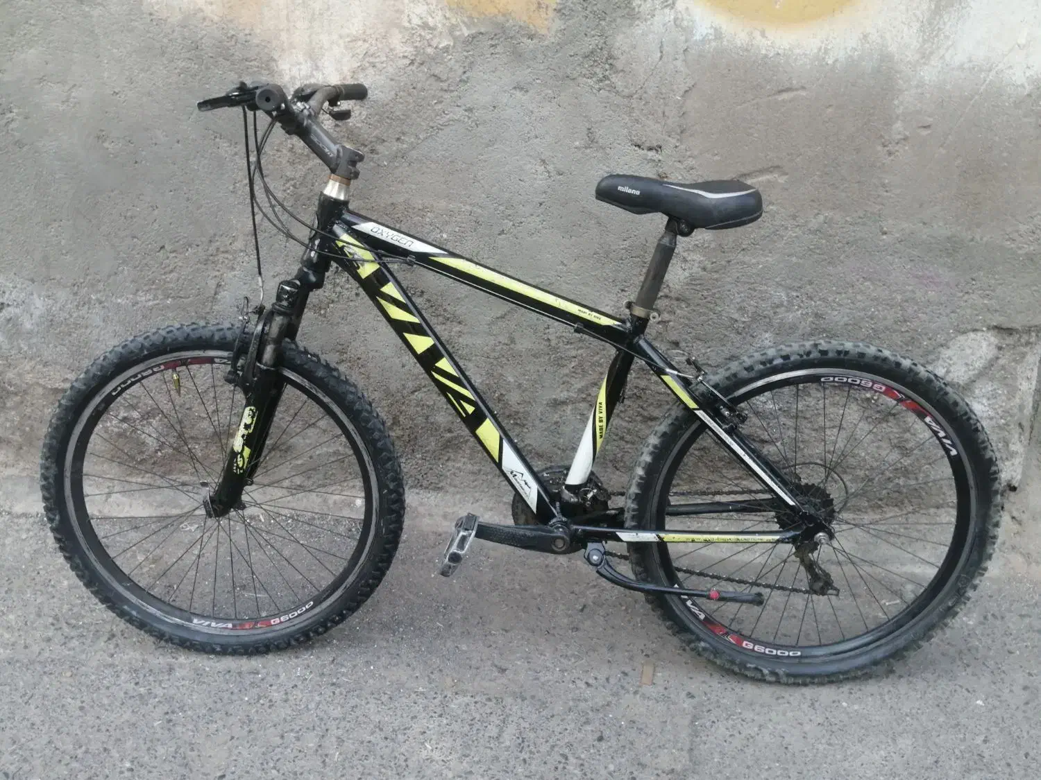 دوچرخه ویوا اکسیژن اصل|دوچرخه، اسکیت، اسکوتر|تایباد, |دیوار