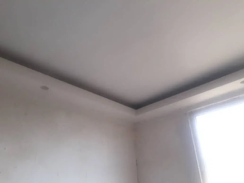 گچکار|خدمات پیشه و مهارت|محمدشهر, محمدشهر|دیوار