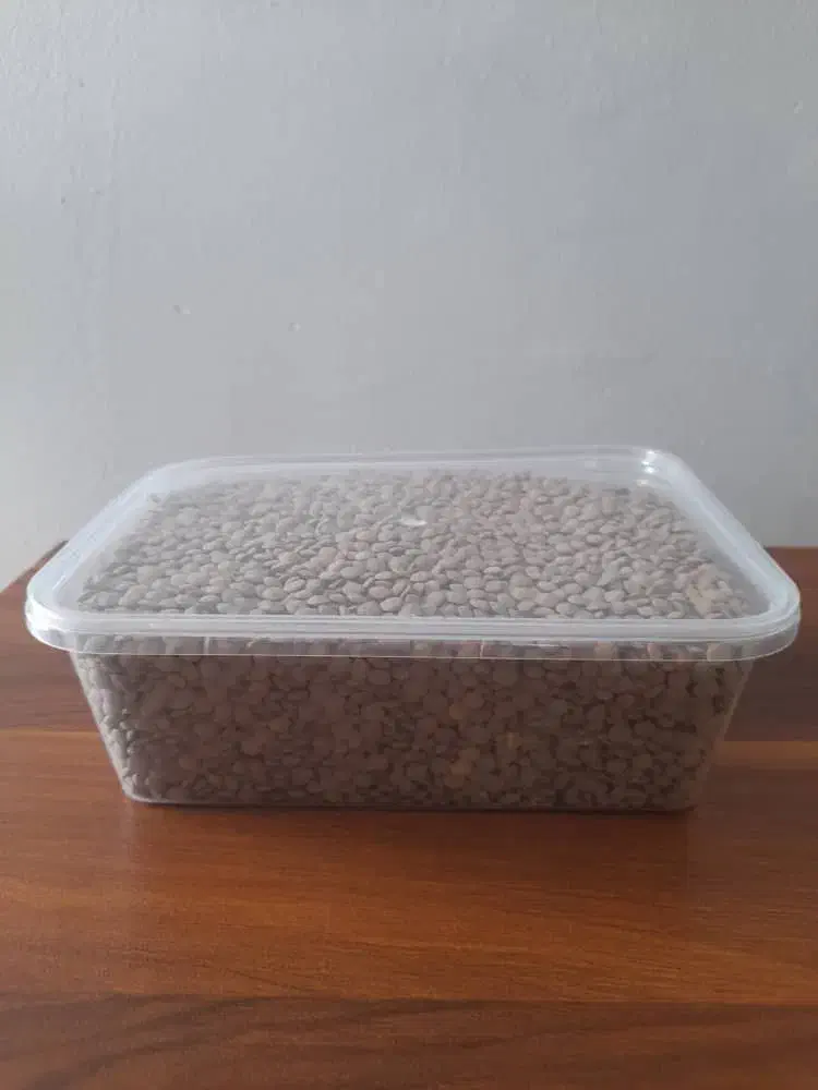 ظرف پلاستیکی در دو سایز مختلف|ظروف نگهدارنده، پلاستیکی، یکبارمصرف|فردیس, شهرک ارم|دیوار