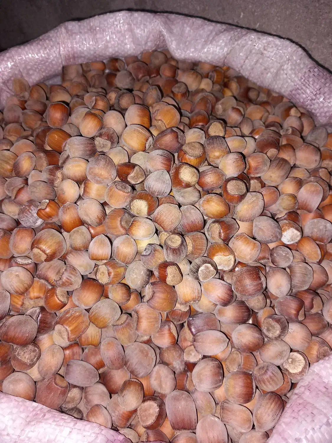 فندق درجه یک جنگلی|خوردنی و آشامیدنی|نمین, |دیوار