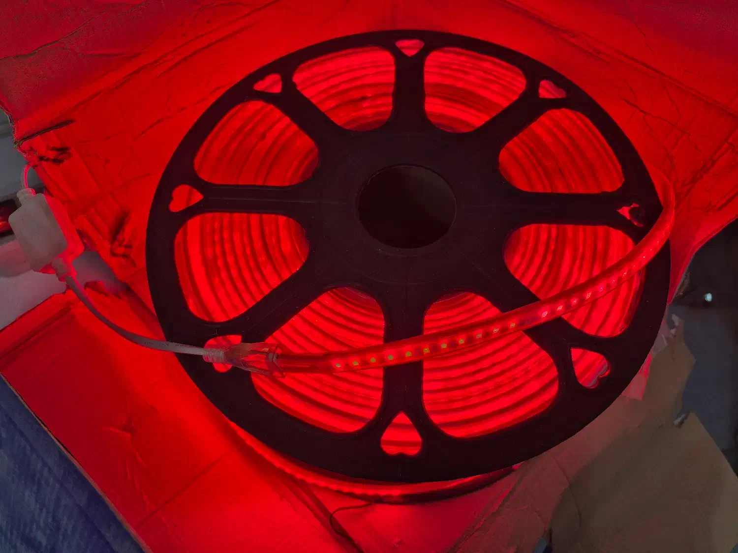 ریسه شیلنگی|ریسه و چراغ تزئینی|کاشان, فاز ۱ ناجی آباد|دیوار