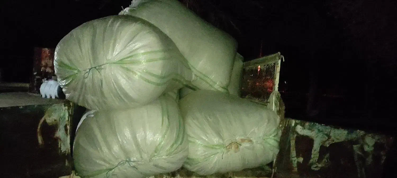 کاه خشک|حیوانات مزرعه|رودبار (کرمان), |دیوار