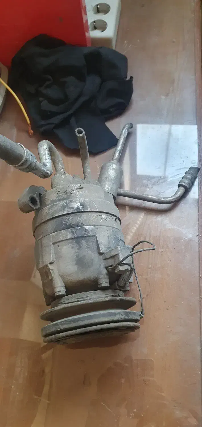 کاور نو|کیف، کفش، کمربند|اردبیل, |دیوار