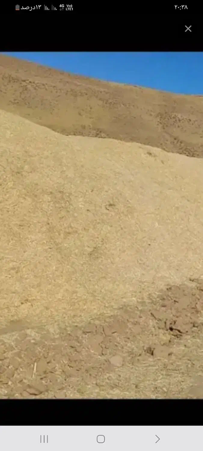 خریدارکاه نخود ولوبیا|خدمات باغبانی و درختکاری|دهگلان, |دیوار