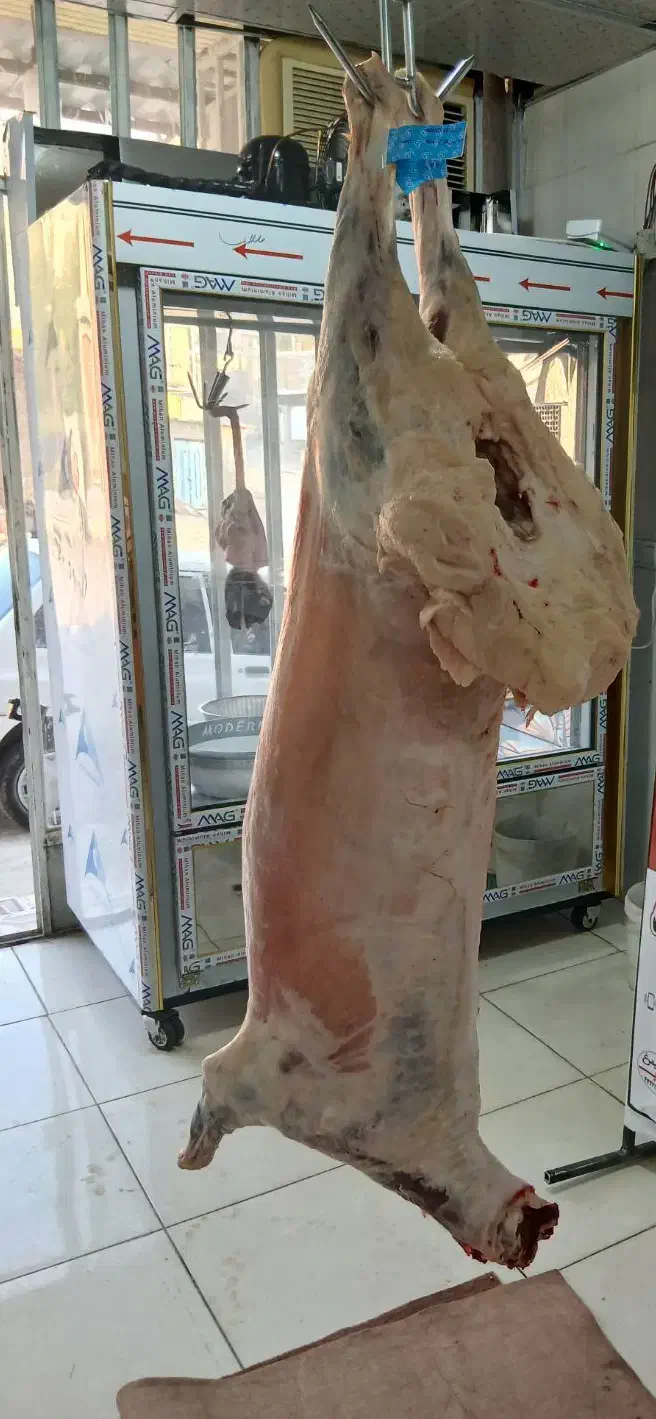 قصابی برادران کرمی نمره ۲|خوردنی و آشامیدنی|مسجد سلیمان, |دیوار