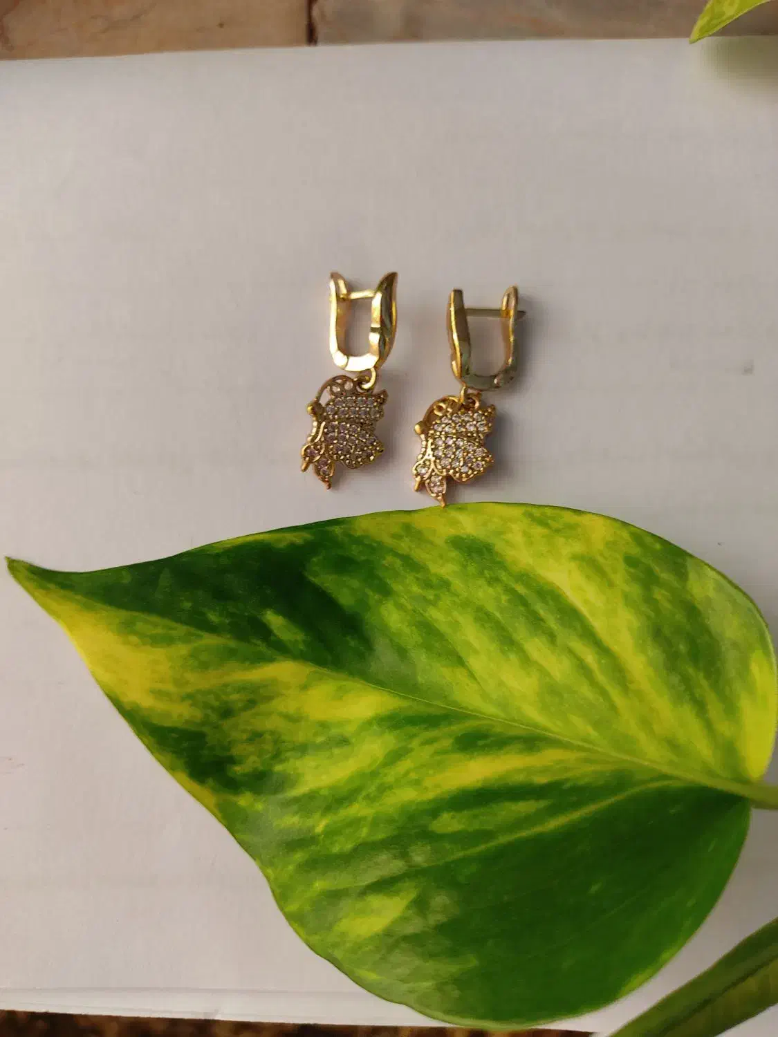 گوشواره رنگ ثابت|بدلیجات|نیشابور, هفده شهریور|دیوار