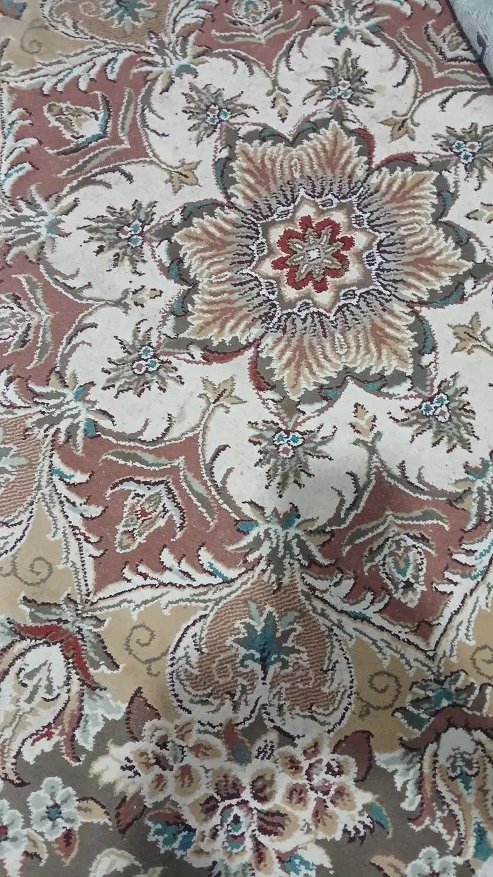 فرش|فرش|نیشابور, شریعتی|دیوار