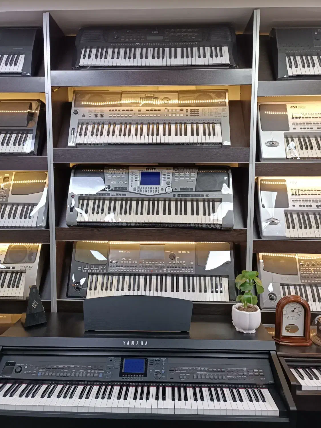 فروش انواع کیبورد|پیانو، کیبورد، آکاردئون|یزد, |دیوار