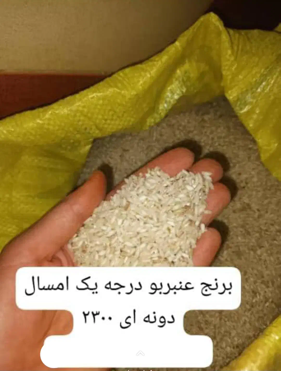 برنج درجه یک عنبر بو|خوردنی و آشامیدنی|گتوند, |دیوار
