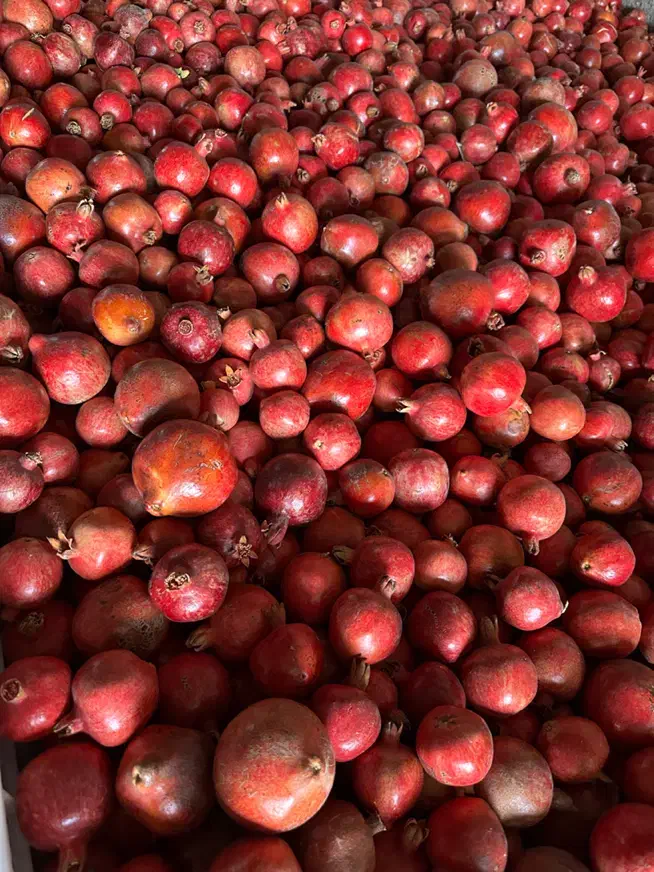 انار سردخانه|عمدهفروشی|ساوه, |دیوار