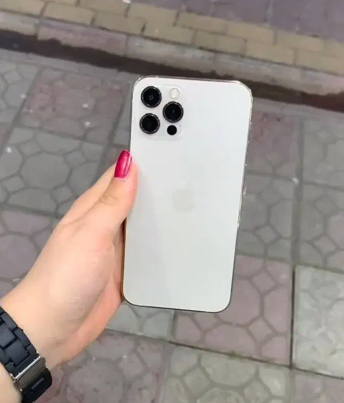 آیفون ۱۲ پرو|موبایل|رشت, معلم|دیوار