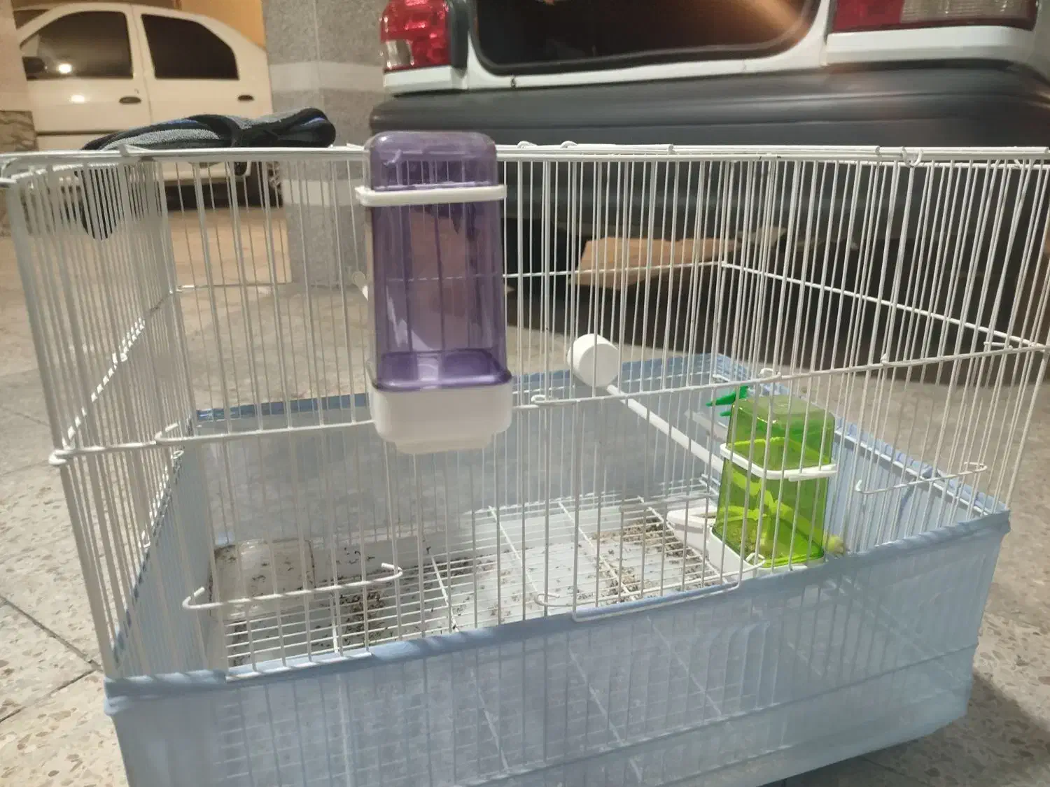 قفس بزرگ با سینی پلاستیکی|لوازم جانبی حیوانات|بندر ماهشهر, |دیوار