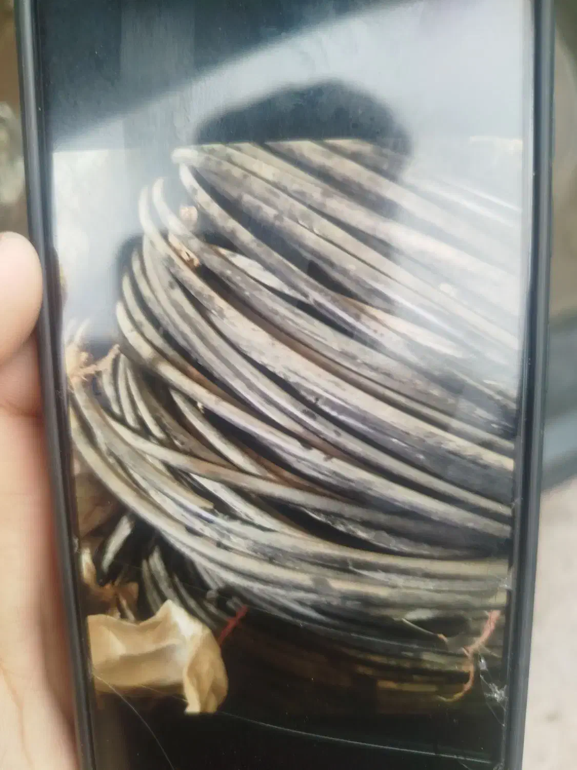 شلنگ آبیاری قطره ای|ابزارآلات|کلاله, |دیوار