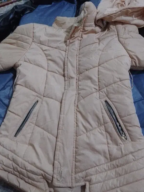 کاپشن|لباس|قائمشهر, |دیوار