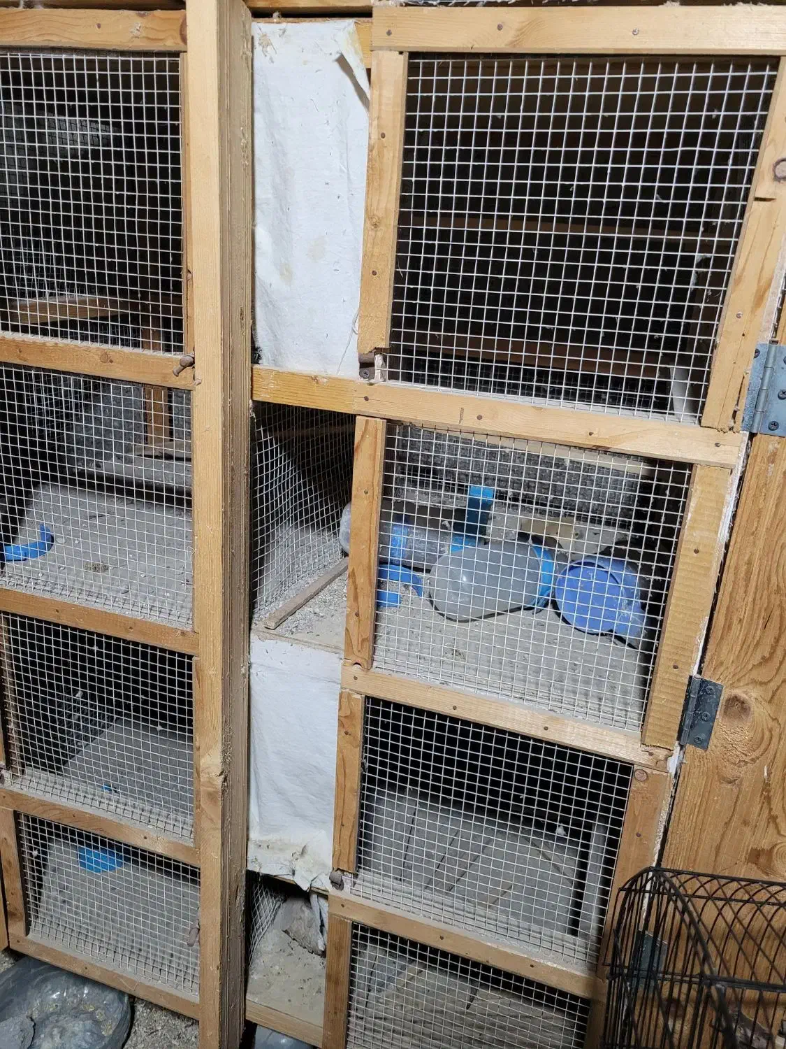 جفتکن|لوازم جانبی حیوانات|بندرعباس, |دیوار