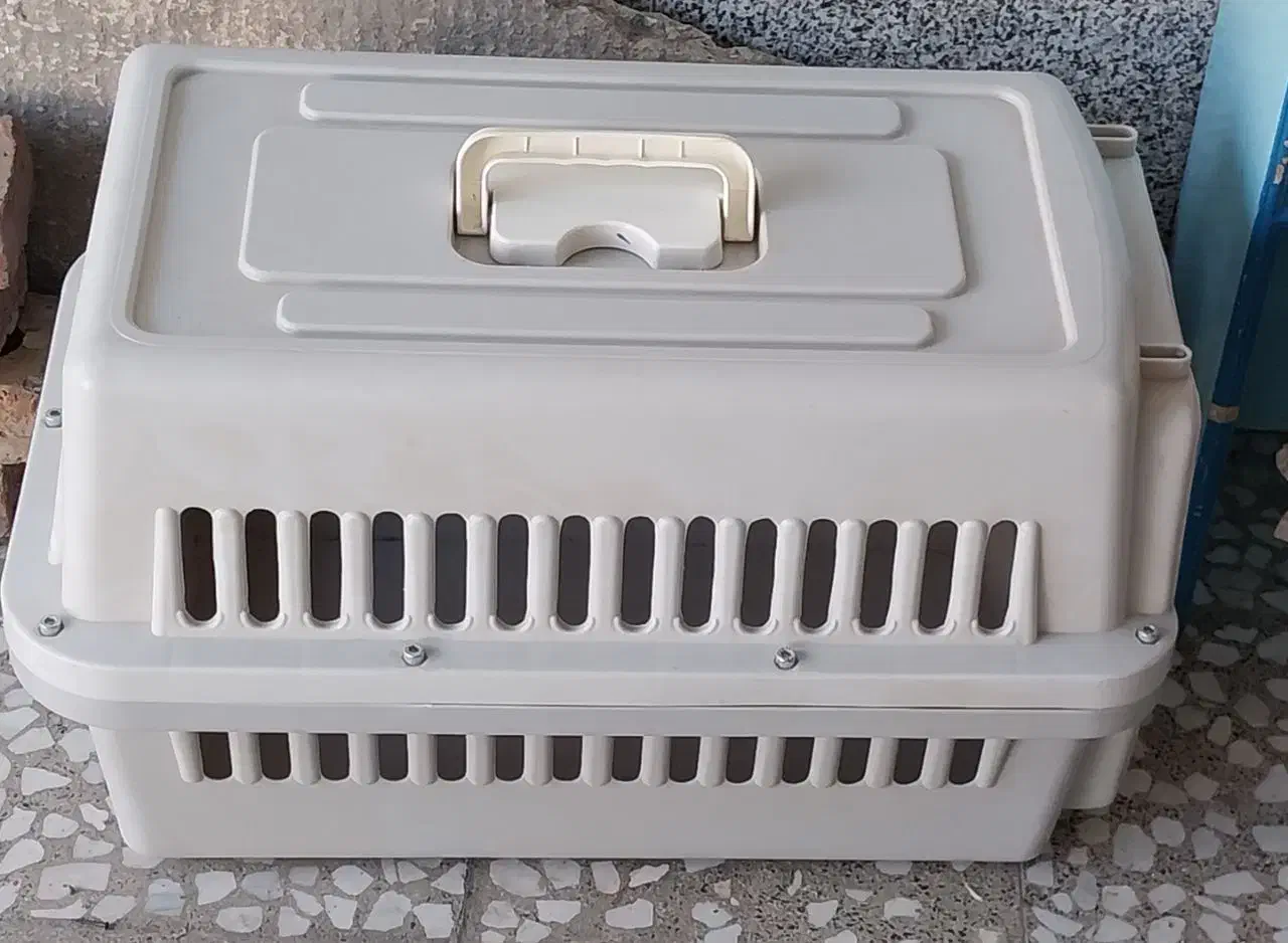 باکس حیوانات خانگی|لوازم جانبی حیوانات|سقز, |دیوار