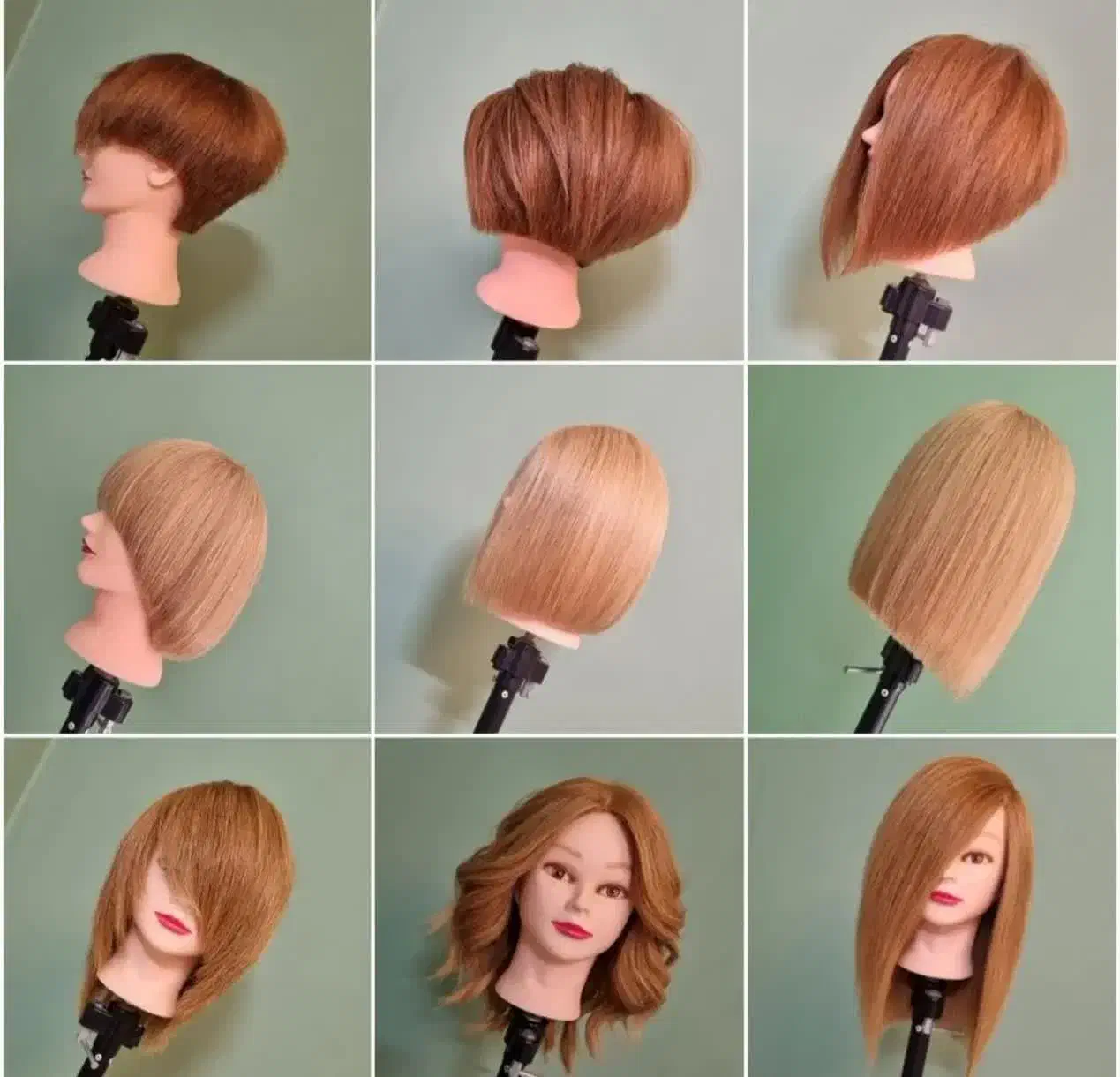 آموزش هیرکات مدرن با دو مدرک معتبر|خدمات آموزشی|مشهد, وکیلآباد|دیوار