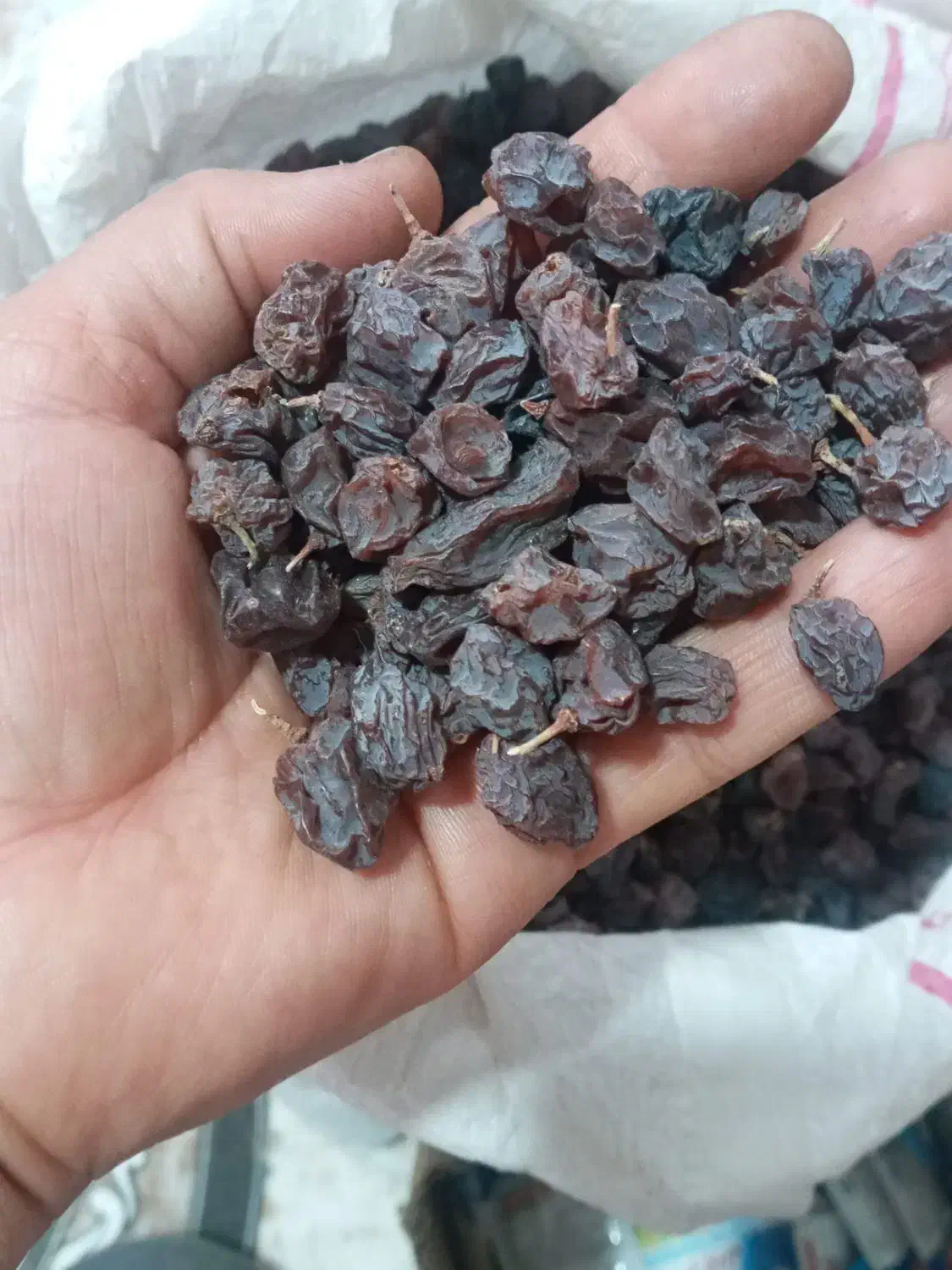 کشمش سیاه دانه درشت|خوردنی و آشامیدنی|شیراز, جوادیه|دیوار