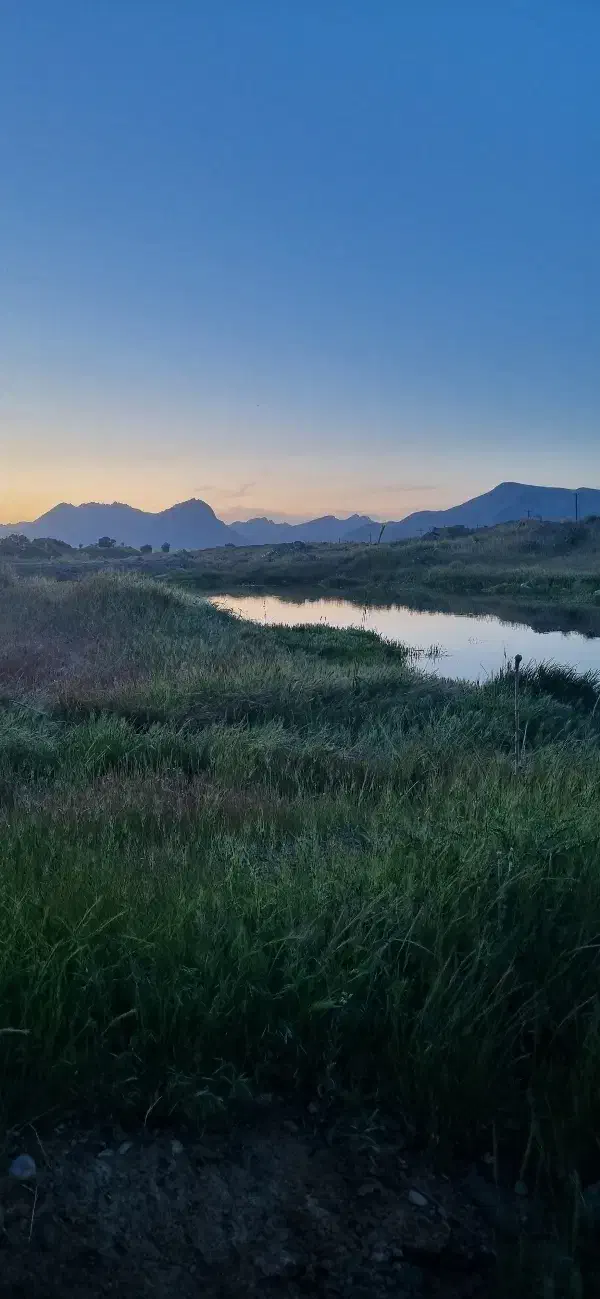 زمین باغی مناسب باغ و ویلا|فروش زمین و ملک کلنگی|شازند, |دیوار
