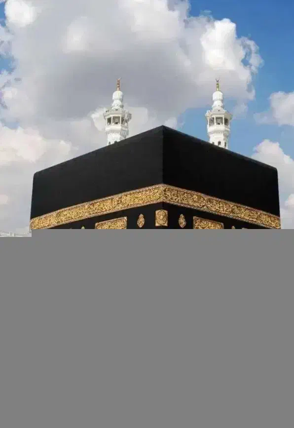 فیش تمتع|تور و چارتر|کرمان, |دیوار