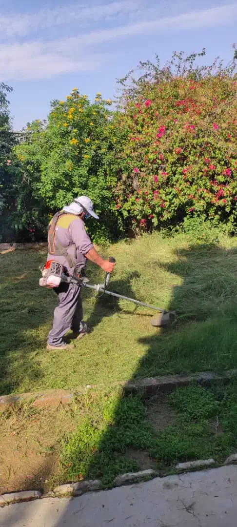 کار چمن زنی انجام میدم|خدمات باغبانی و درختکاری|مسجد سلیمان, |دیوار