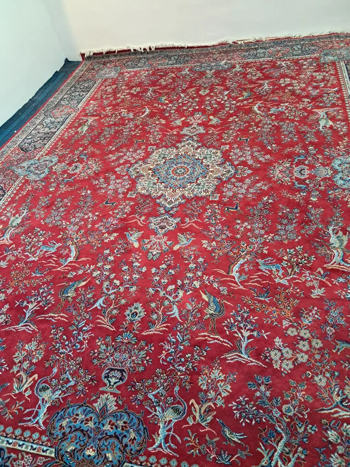 فرش ۱۲ متری لاکی رنگ|فرش|ملایر, |دیوار