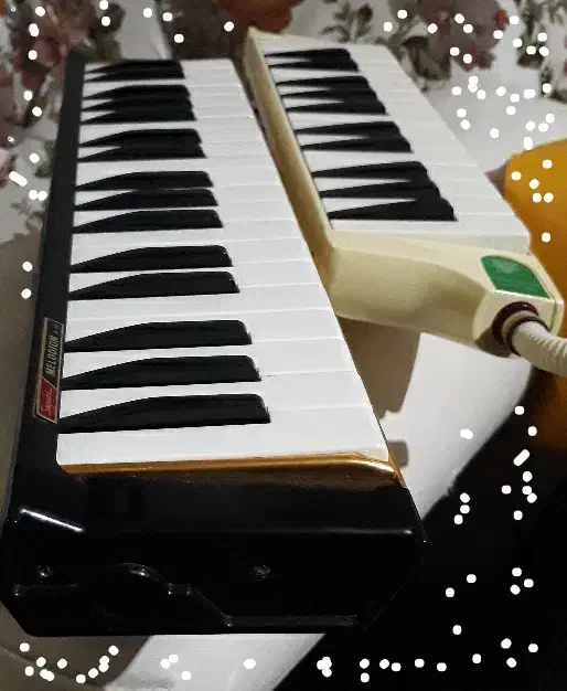 ارگ  ملودین.. درام DM5|پیانو، کیبورد، آکاردئون|لاهیجان, بازکیاگوراب|دیوار