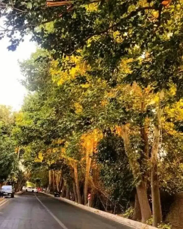 فروش باغ|فروش زمین و ملک کلنگی|کرج, چمن|دیوار