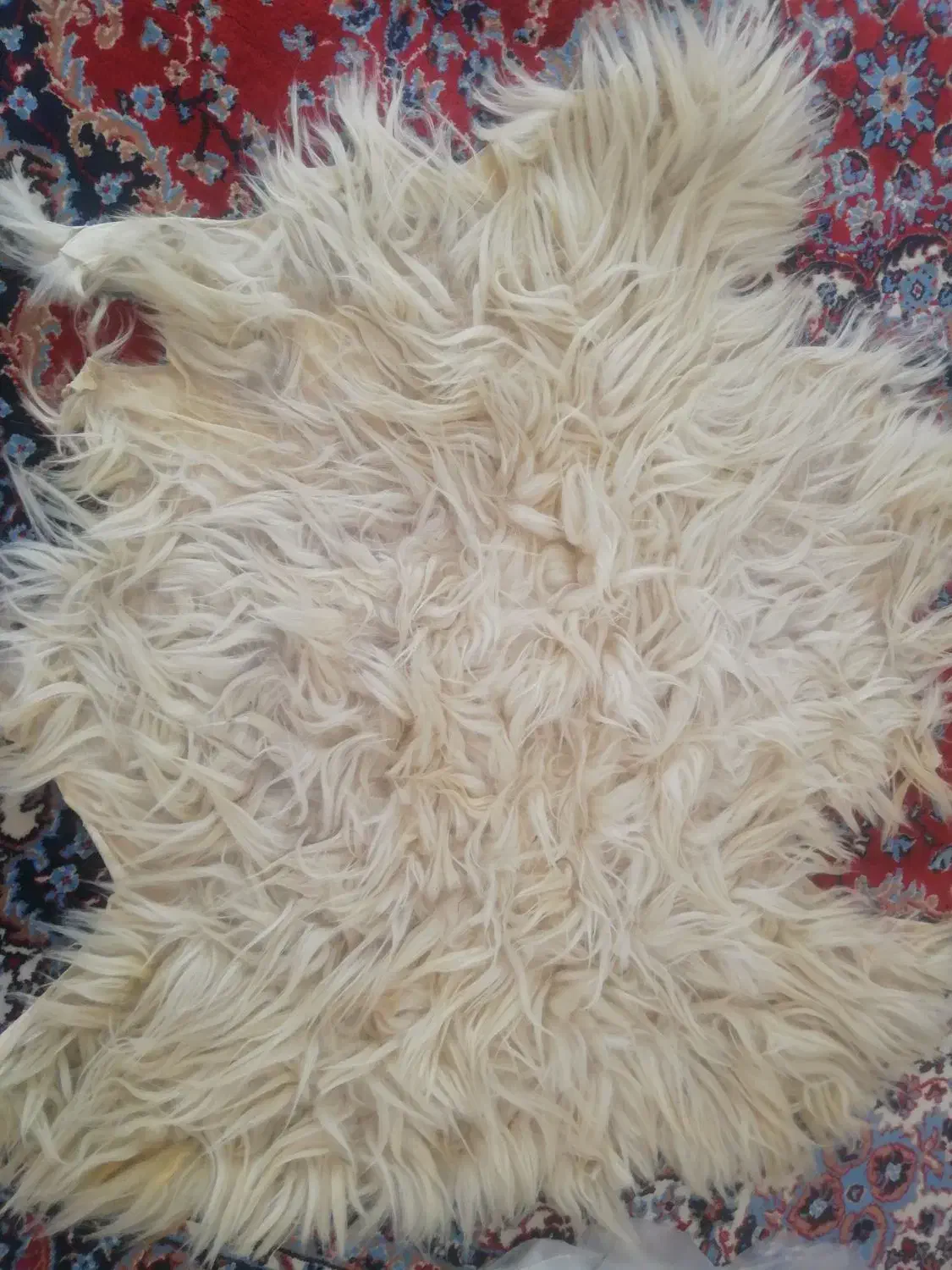 پوست پشمی بره|فرش|مسجد سلیمان, |دیوار