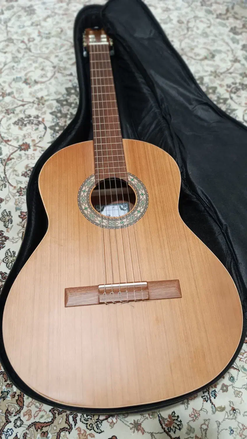 گیتار پارسی P80|گیتار، بیس، امپلیفایر|دلیجان, |دیوار