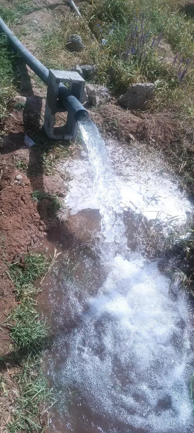 زمین( کشاورزی )|فروش دفتر صنعتی، کشاورزی، تجاری|باروق, |دیوار