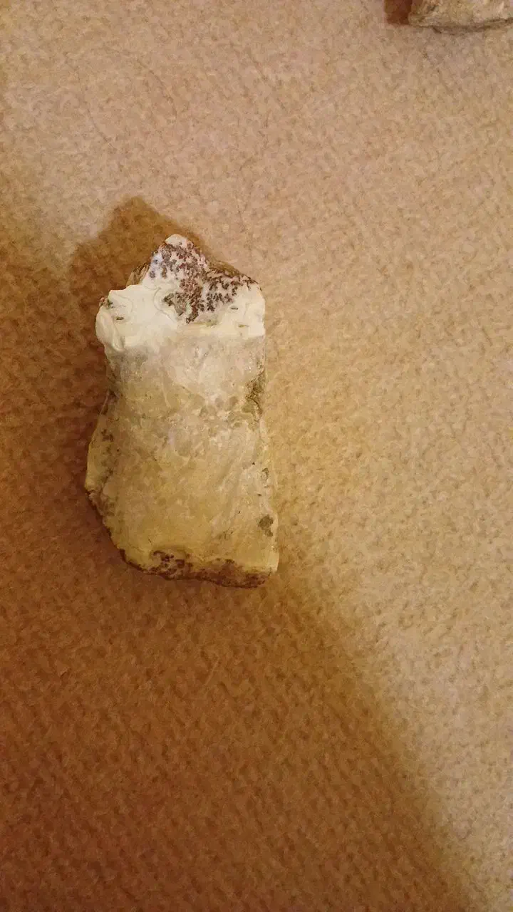 آبی|کلکسیون اشیاء عتیقه|کرج, برغان|دیوار