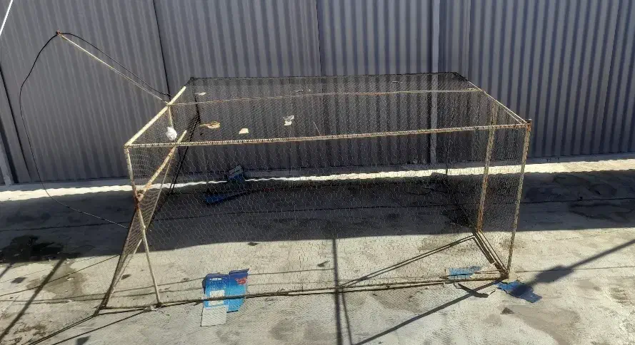 تور دام کبوتر|پرنده|زرند, |دیوار