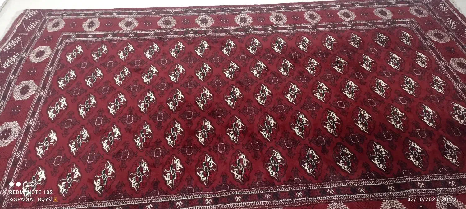 فرش ترکمنی|فرش|سیمین شهر, |دیوار