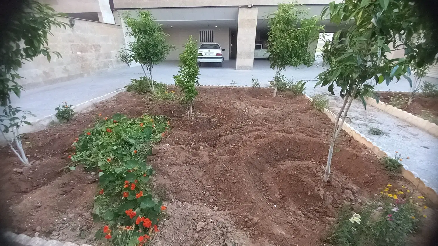 خدمات شخم پاکنی علف زنی باتیلر باغبانی لوله کشی|خدمات باغبانی و درختکاری|شیراز, شاپورجان|دیوار