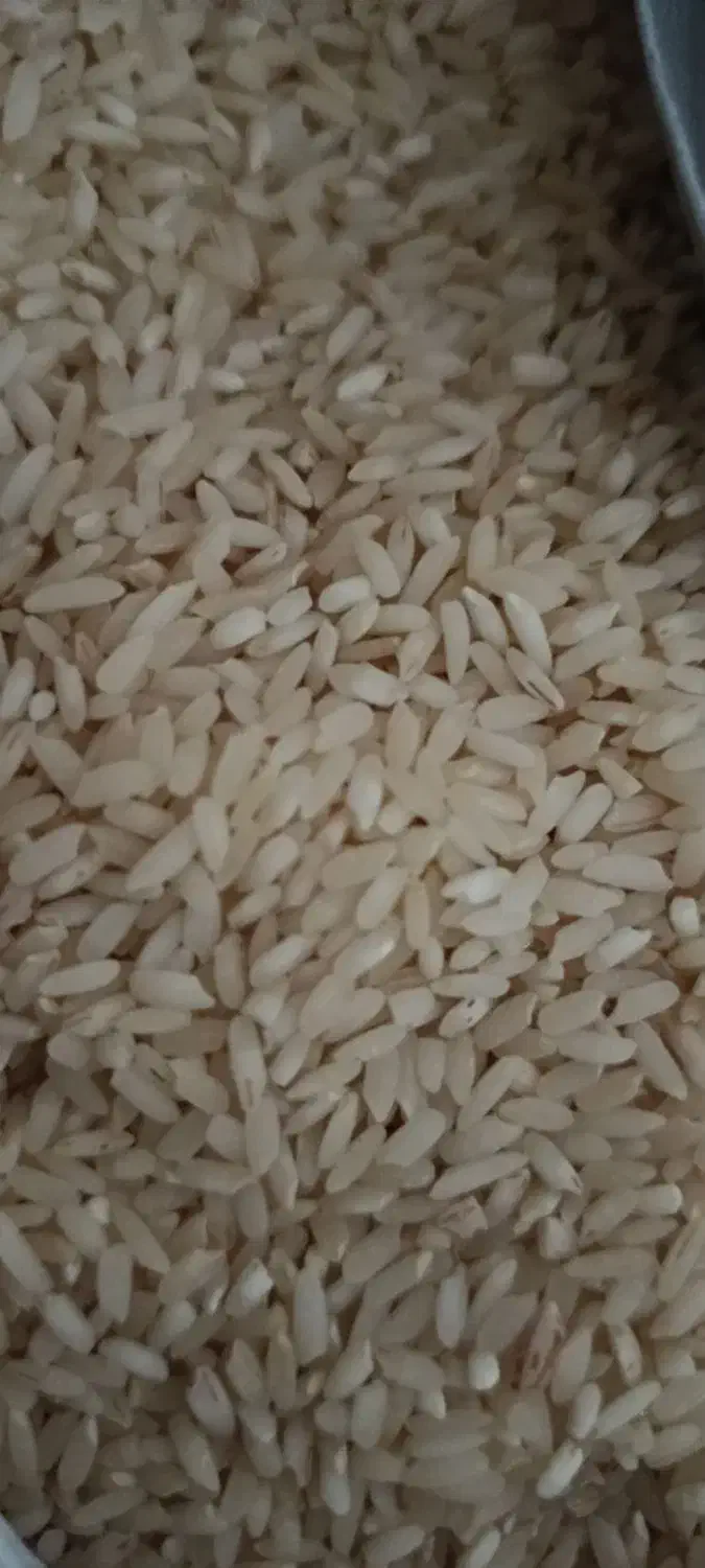 برنج|خوردنی و آشامیدنی|درب گنبد, |دیوار