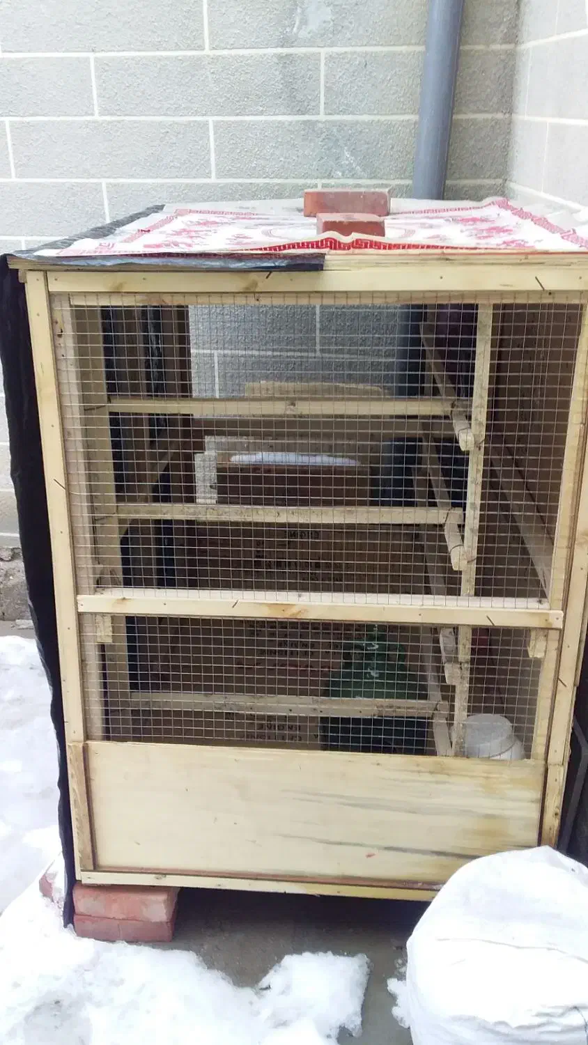 قفس کبوتر|لوازم جانبی حیوانات|ملکان, |دیوار