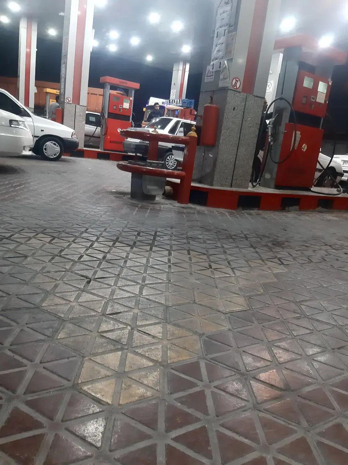 گمشده سهره|پرنده|بندر ماهشهر, |دیوار