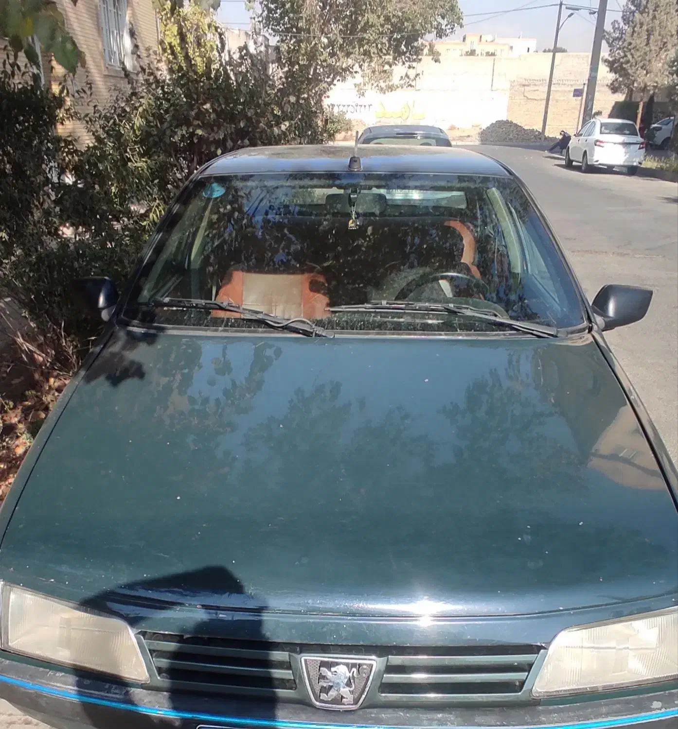 پژو ۴۰۵ مدل ۸۱ سالم|خودرو سواری و وانت|فردیس, شهرک هفده شهریور|دیوار