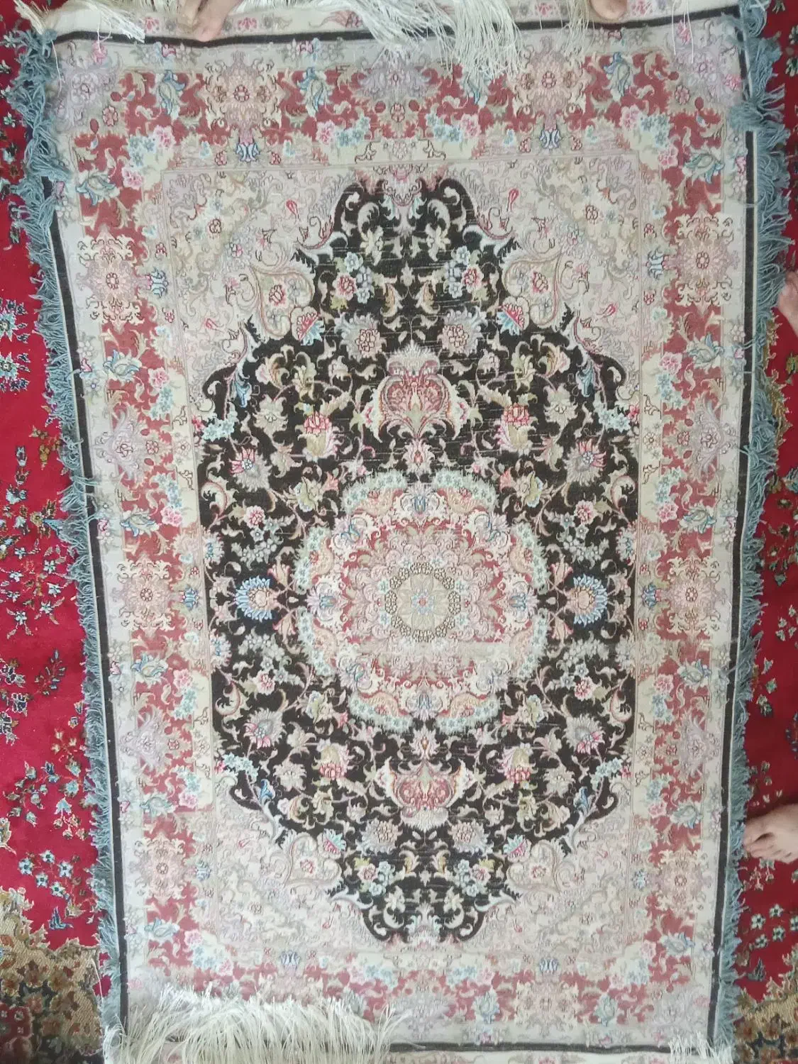 فرش زرنیم|فرش|تبریز, |دیوار