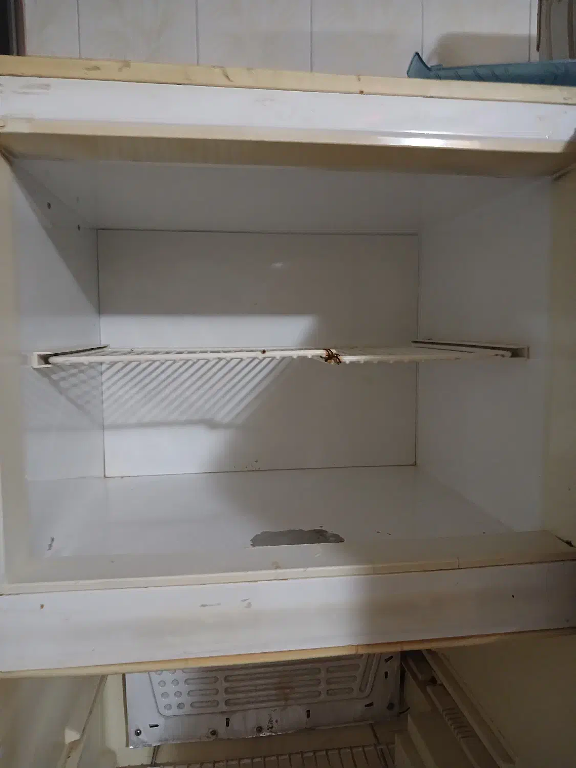 یخچال|یخچال و فریزر|اصفهان, مارچین|دیوار