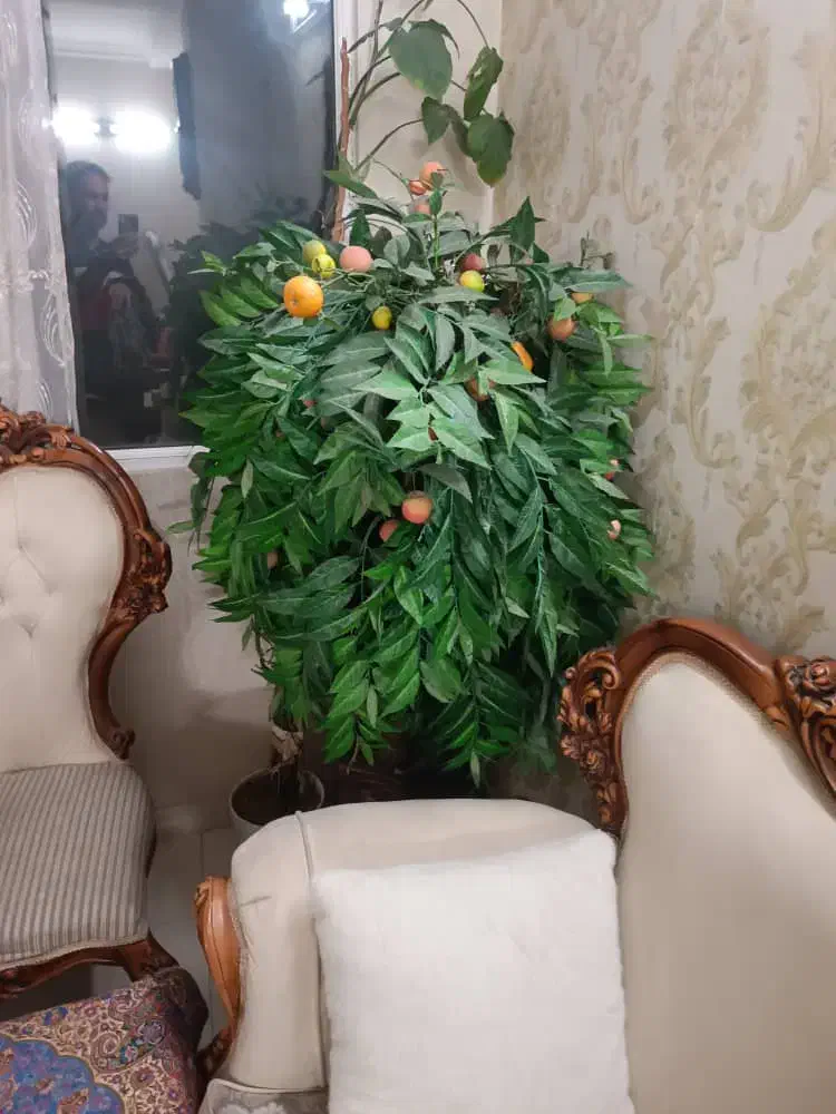 گل و گلدان مصنوعی|گل مصنوعی|تهران, زمزم|دیوار