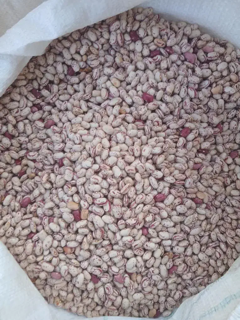 فروش لوبیا چیتی|عمدهفروشی|قره ضیاالدین, |دیوار