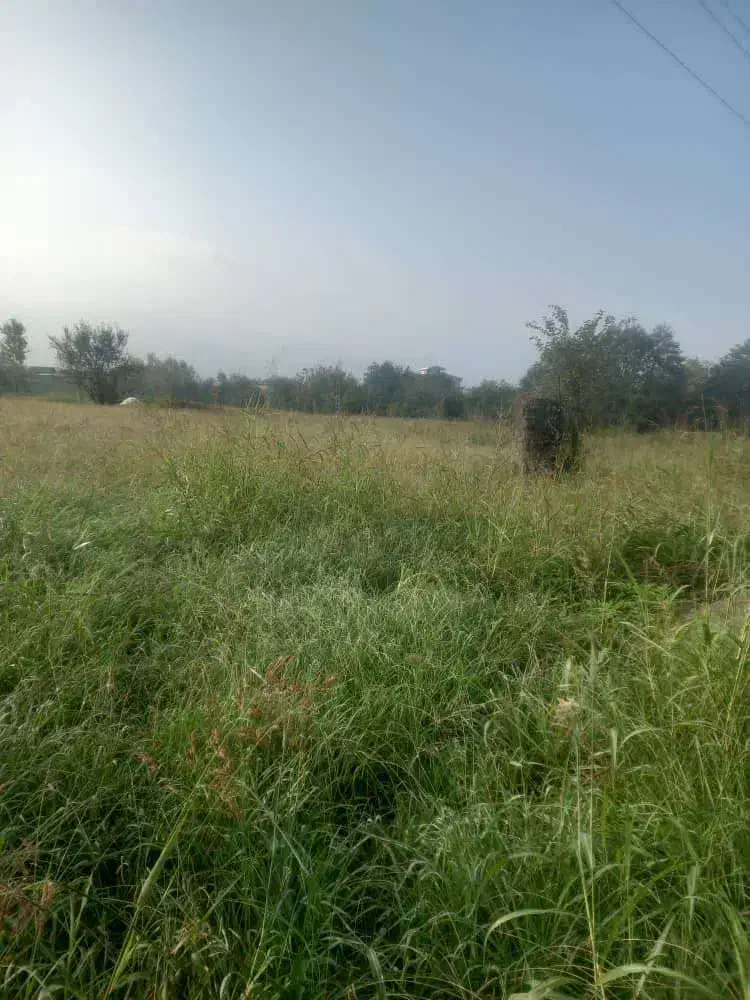 فروش قطعه زمین باغی|فروش زمین و ملک کلنگی|کلاچای, |دیوار