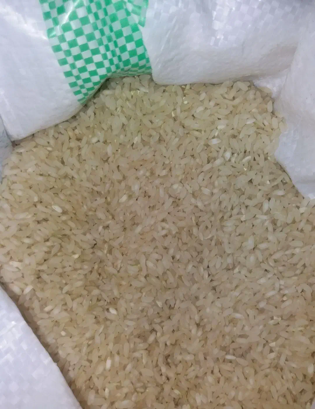 برنج لنجون زرین شهر|خوردنی و آشامیدنی|اصفهان, شاهزاده ابراهیم|دیوار