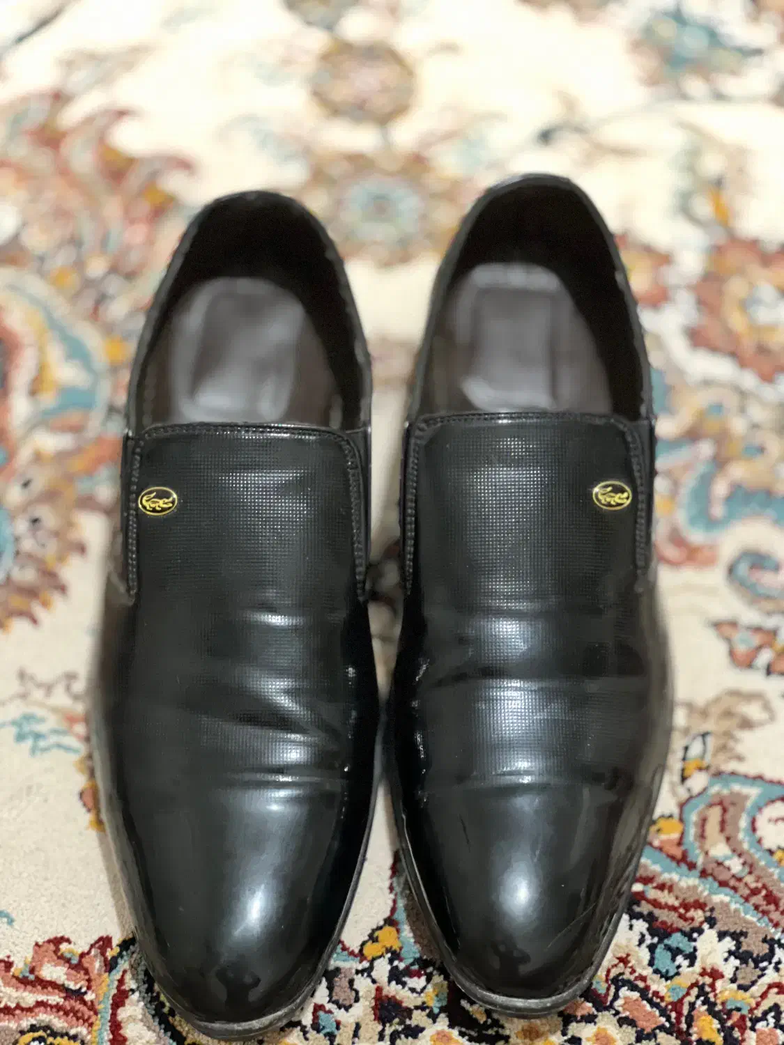 کفش در حد نو|کیف، کفش، کمربند|بوکان, |دیوار