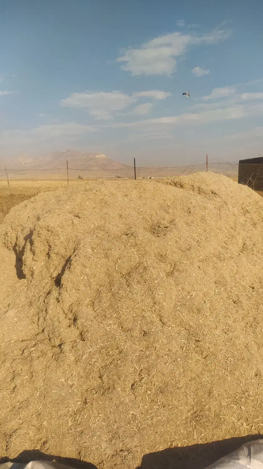 فروش کاه نیشکر|لوازم جانبی حیوانات|کوهدشت, |دیوار