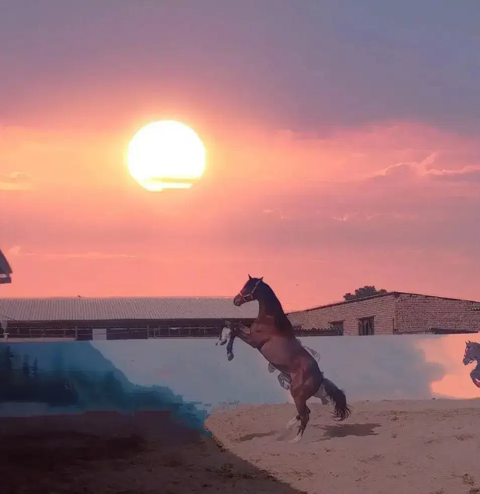 اسب وارداتی kwpn هولشتاین درساژ پرش کورس|اسب و تجهیزات اسب‌سواری|تهران, حصار بوعلی|دیوار